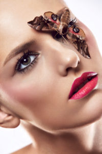 beauty composing picture with moth beauty composing picture with moth